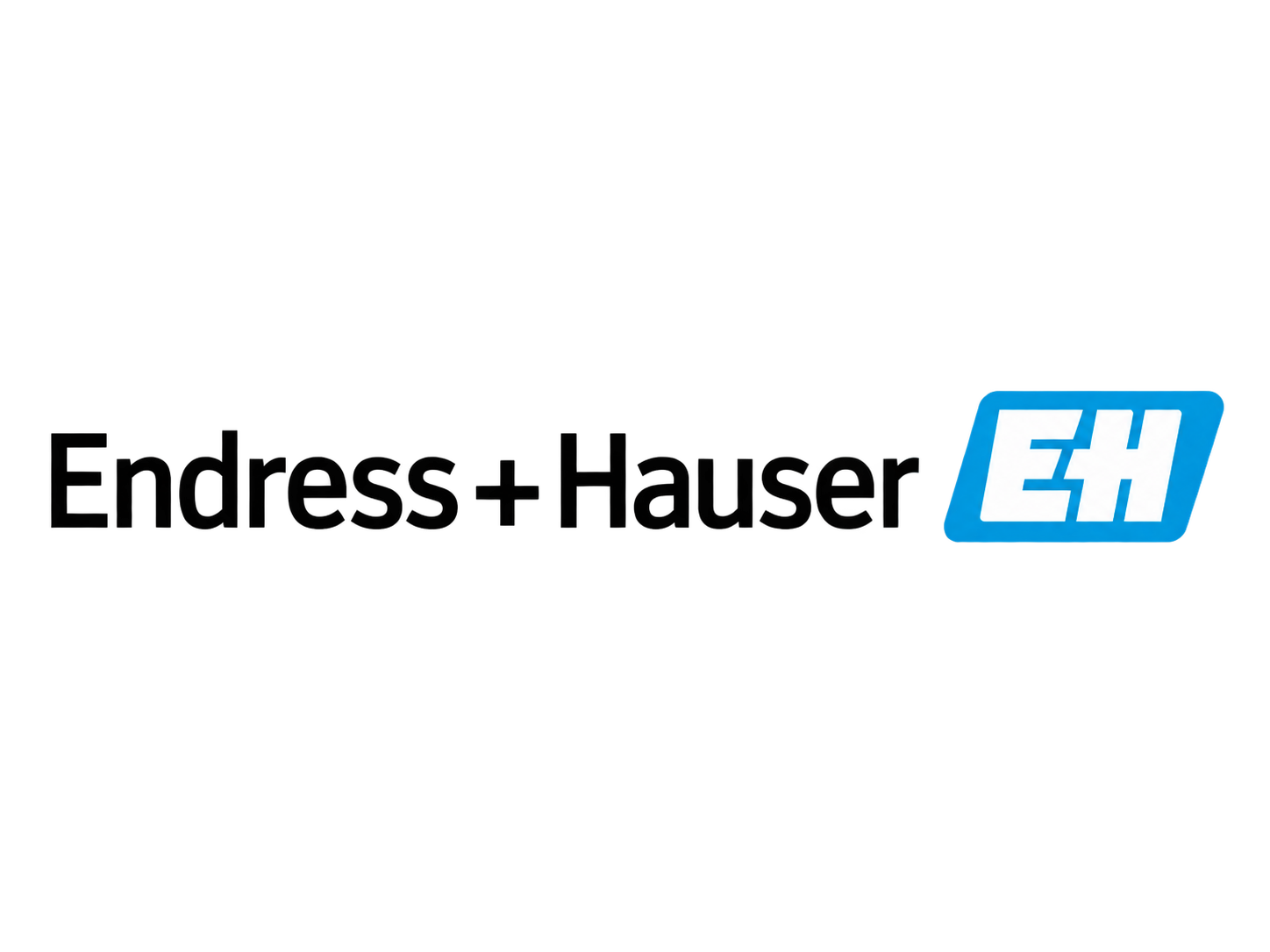 Endress and Hauser logo