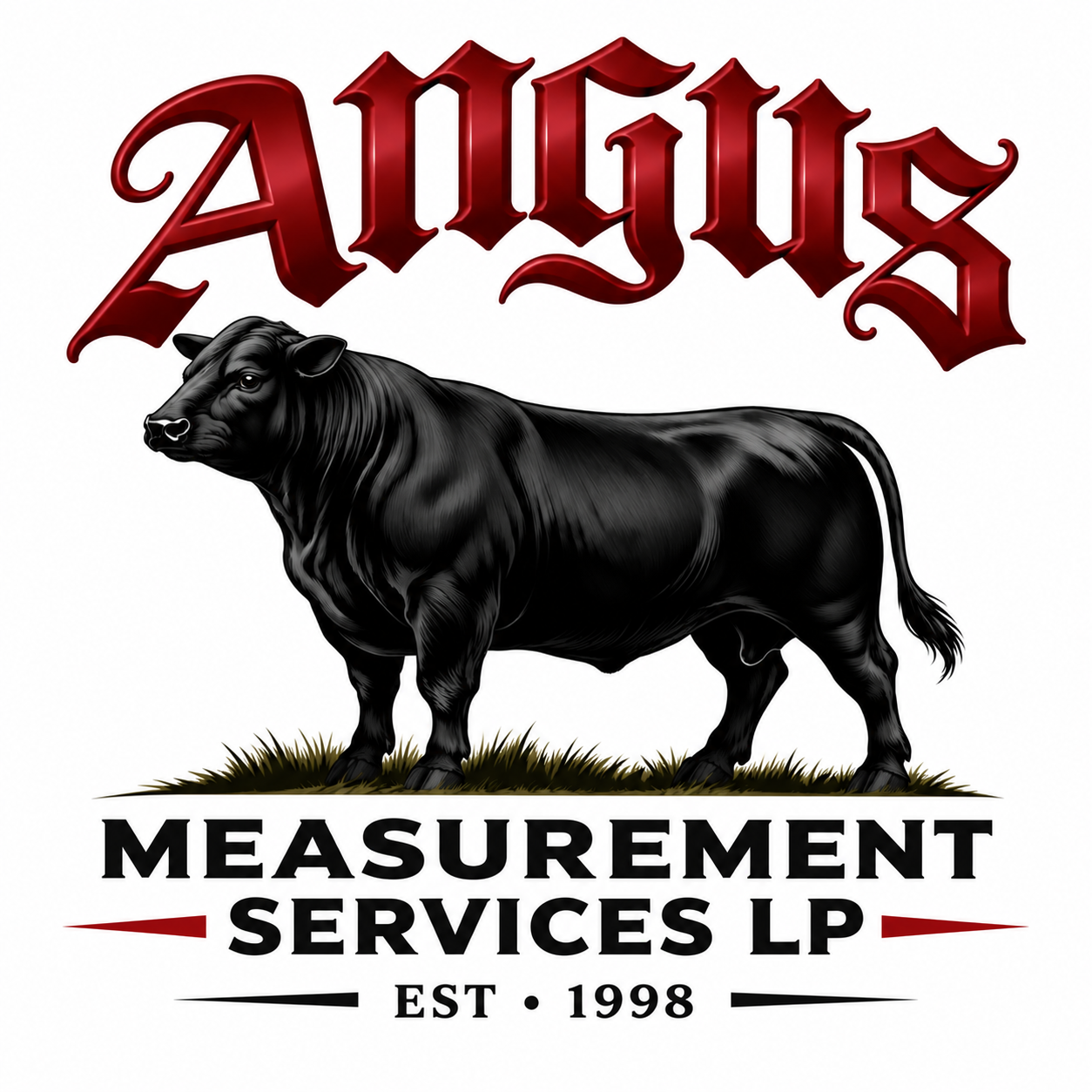 new-angus-measurement-logo